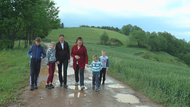 Златиборско село Крушчица познато је по воћарима и сточарима. А сељани муку муче због друма и поручују: Да је пута, били бисмо Швајцарска