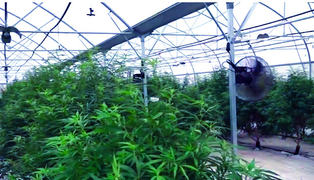 Ухапшено још седморо осумњичених у случају Јовањица: Међу приведенима и полицајци