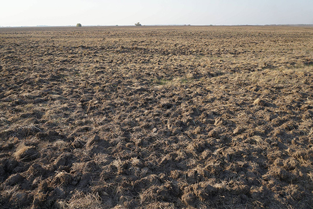 Мора да плати глобу у износу од 100.000 динара: Кикинђанин кажњен због уништавања станишта у Специјалном резервату природе