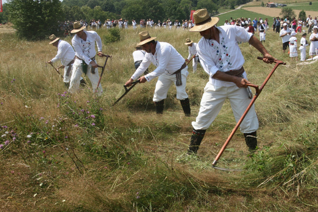 У питање доведено одржавање једне од најстаријих туристичких манифестација у Србији: КОРОНА ОТКАЗУЈЕ КОСИДБУ НА РАЈЦУ