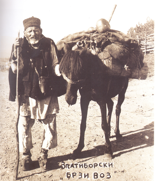 Захваљујући фотографији, Златиборски брзи воз стигао на крај света