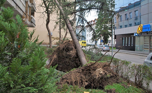 НЕВРЕМЕ ЗАХВАТИЛО И БИХ: Олуја ломи и баца стабла; поплављени станови у Требињу и Билећи