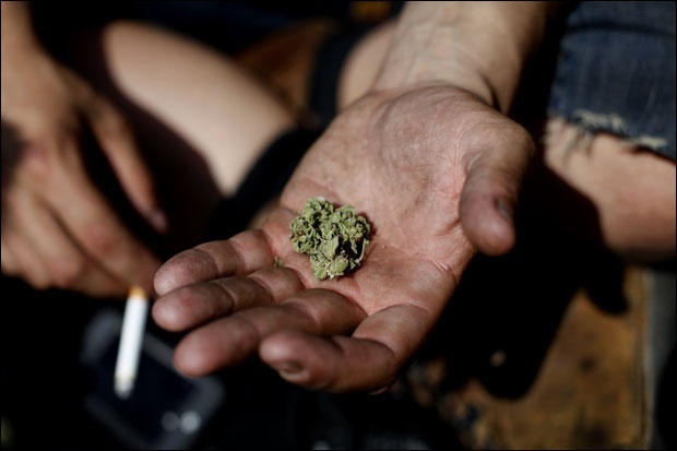 Грчка се спрема да дозволи употребу канабиса у медицинске сврхе