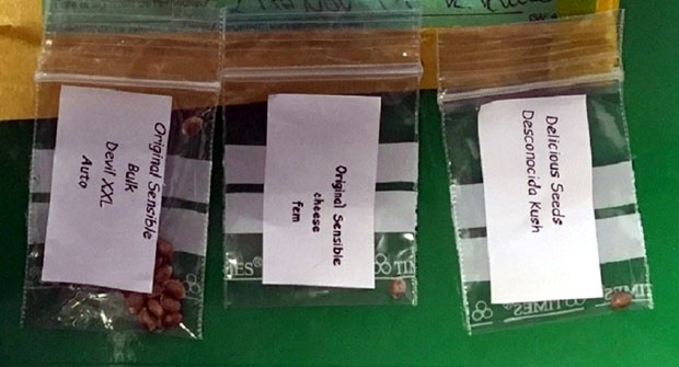 Заплењена већа количина кокаина, опијата, тхц-а у пошиљкама