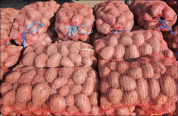 ОД ИЗВОЗНИКА ДО УВОЗНИКА: Кромпира мање производимо а највише увозимо из Немачке