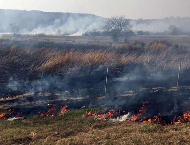 АПЕЛ ВАТРОГАСАЦА: Повећан број пожара на отвореном