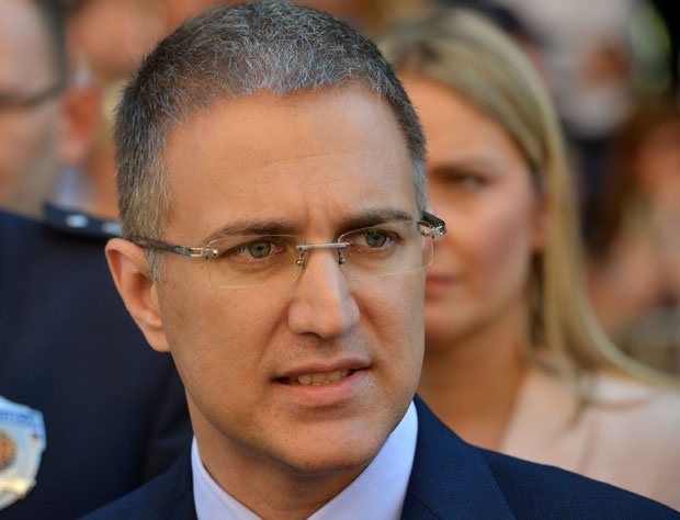 Стефановић: На Главном одбору о изборима и Путиновој посети