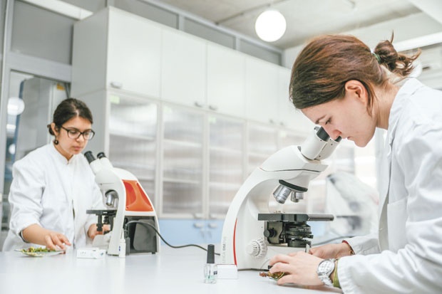 АСТРОФИЗИЧАР ИЗ НАСА: Петницу треба ископирати свуда по свету