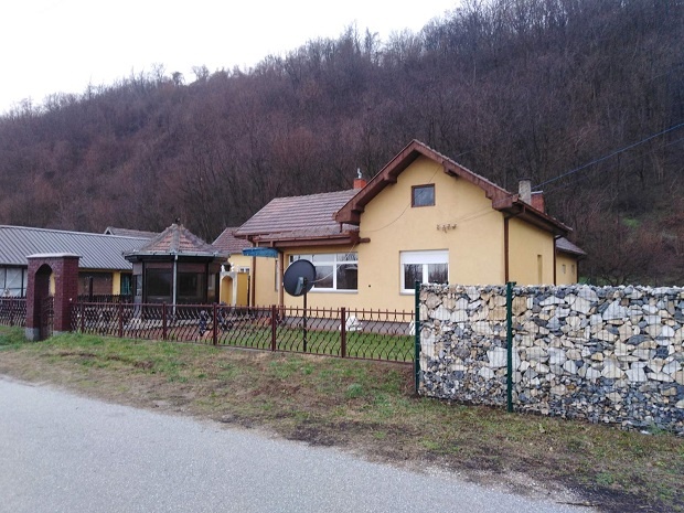 „Најпре сам је три пута секиром по глави”: Михајло признао да је убио Добрилу