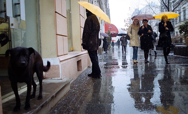 Временска прогноза: Облачно, понегде пљускови, до 17 степени