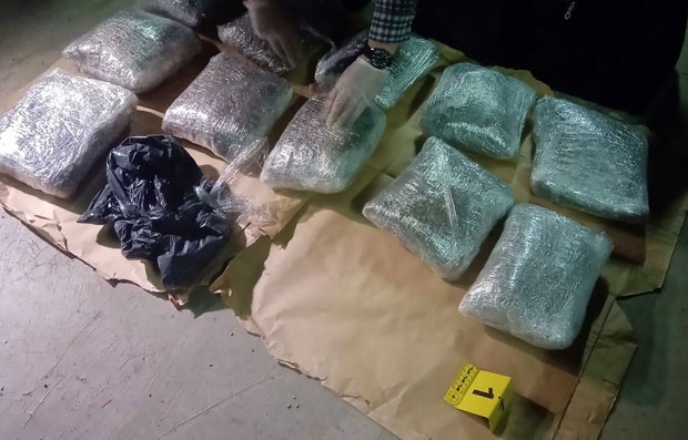 Стефановић: У прва четири месеца заплењено две тоне дроге